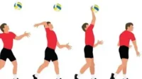 Servis Bola Voli