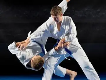 Gerakan Judo Pemula