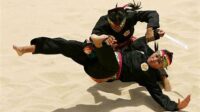 Pencak Silat