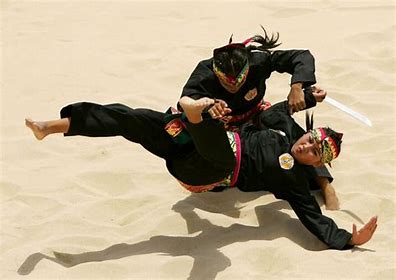 Pencak Silat
