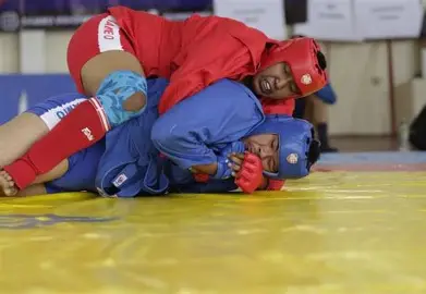 Peralatan Olahraga Sambo