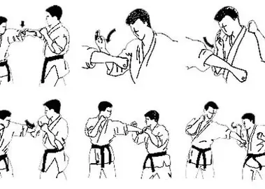 Teknik Pukulan Taekwondo