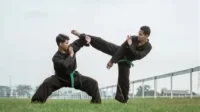 Teknik Pukulan dan Tendangan Pencak Silat