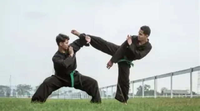 Teknik Pukulan dan Tendangan Pencak Silat