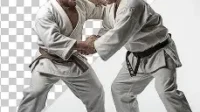judo