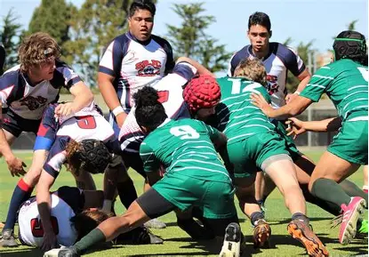 Perkembangan Rugby