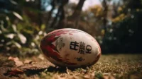pertandingan rugby