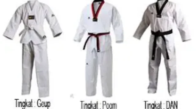 seragam tekwondo